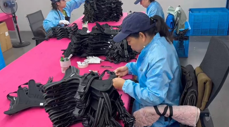 科派德宠物，无处不在