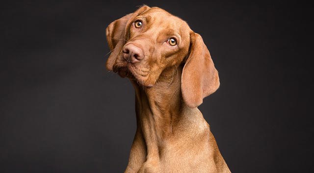 如何进行竞争性定价分析