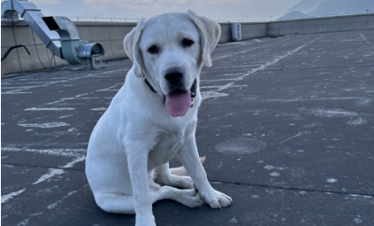 您的内部指南：什么是竞争环境分析？